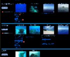 The Japanese Dive Spot Gallery